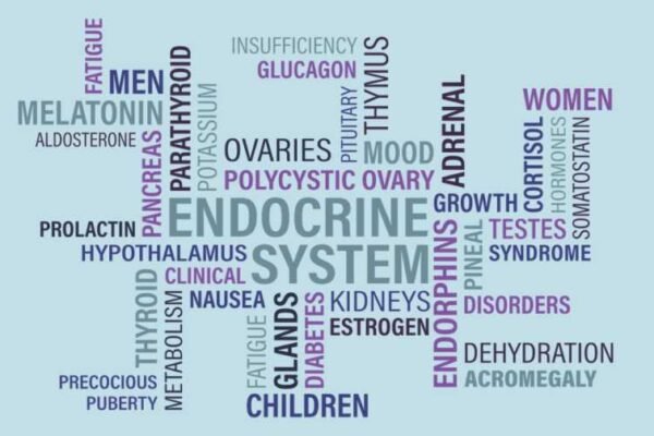 Best Thyroid Supplements for Weight Loss