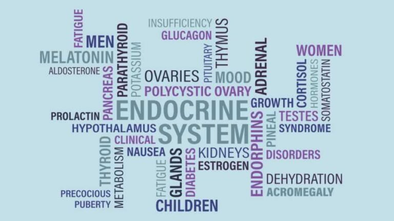 Best Thyroid Supplements for Weight Loss